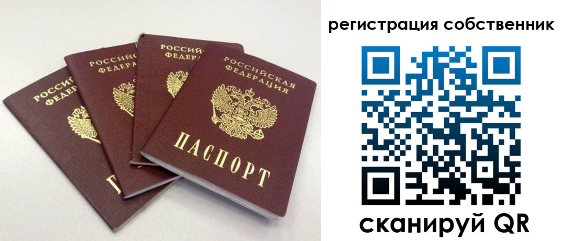 прописка для школы в Семилуках
